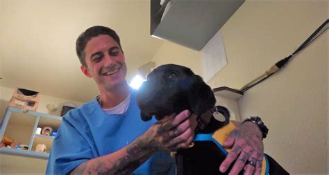 San Quentin prison program pairs trainers with puppies